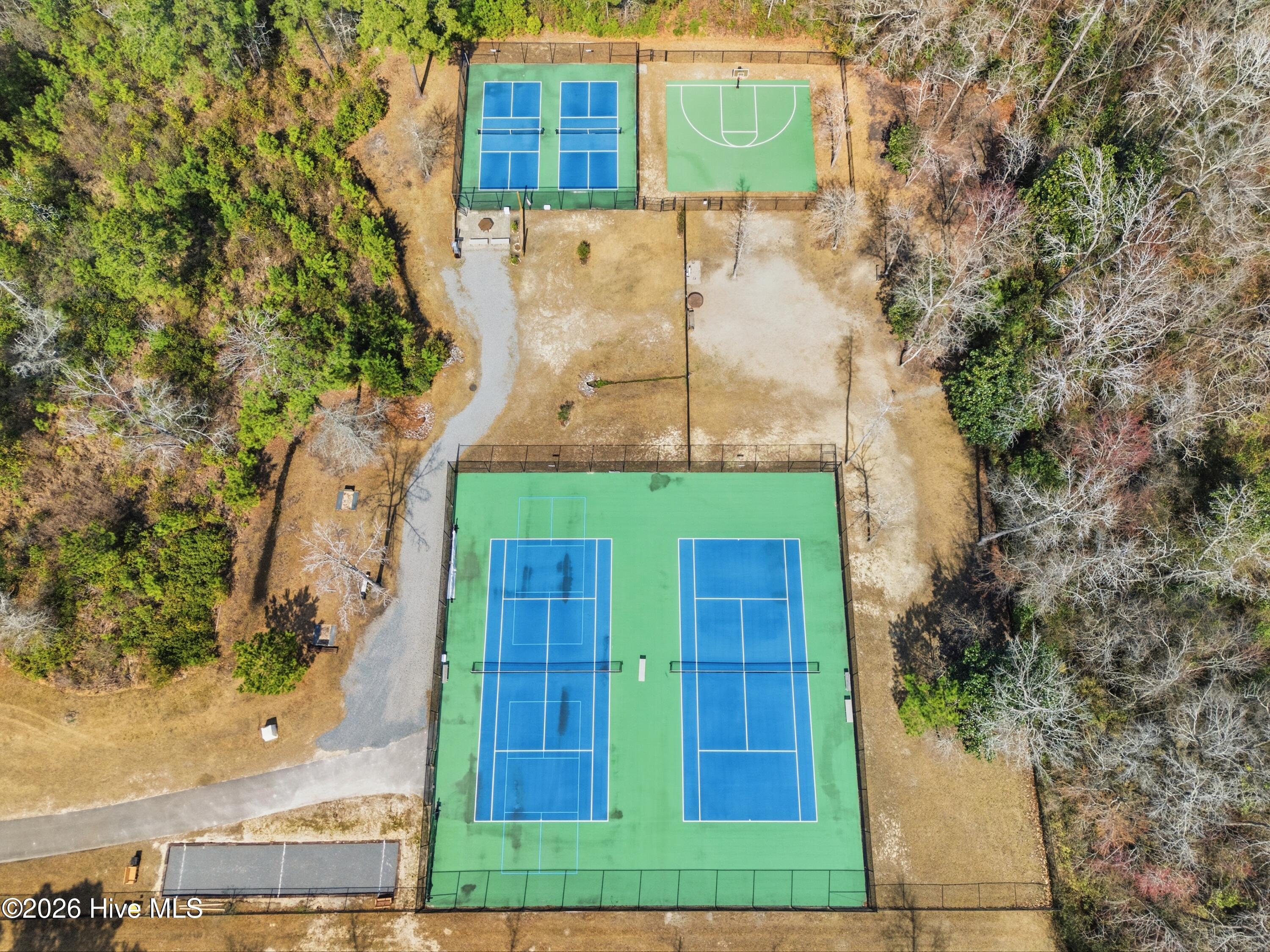 100558541 | Photo 96