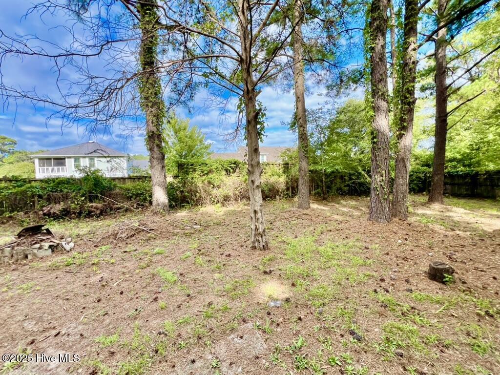 100527564 | Photo 21