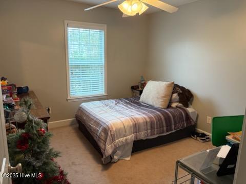 100542837 | Photo 16