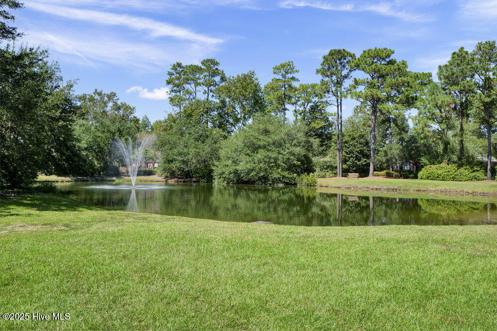 100531667 | Photo 90