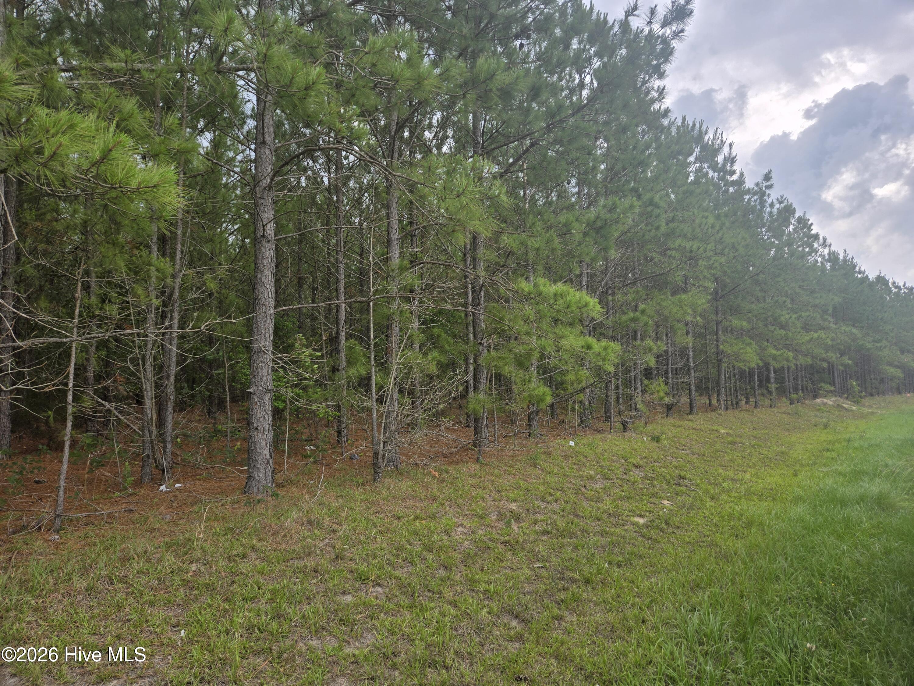 Tract 14 Belford Church Road, Jackson Springs, NC 27281 Listing Photo  5