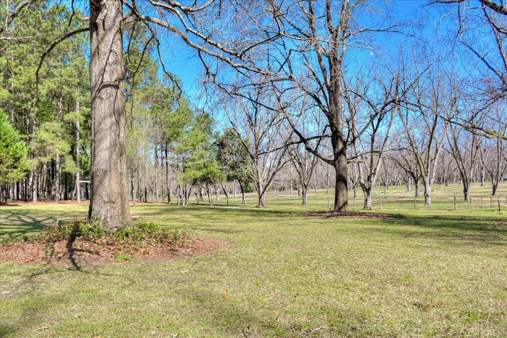 273 Barrett Plantation Lane, Waynesboro, GA 30830 Listing Photo  53
