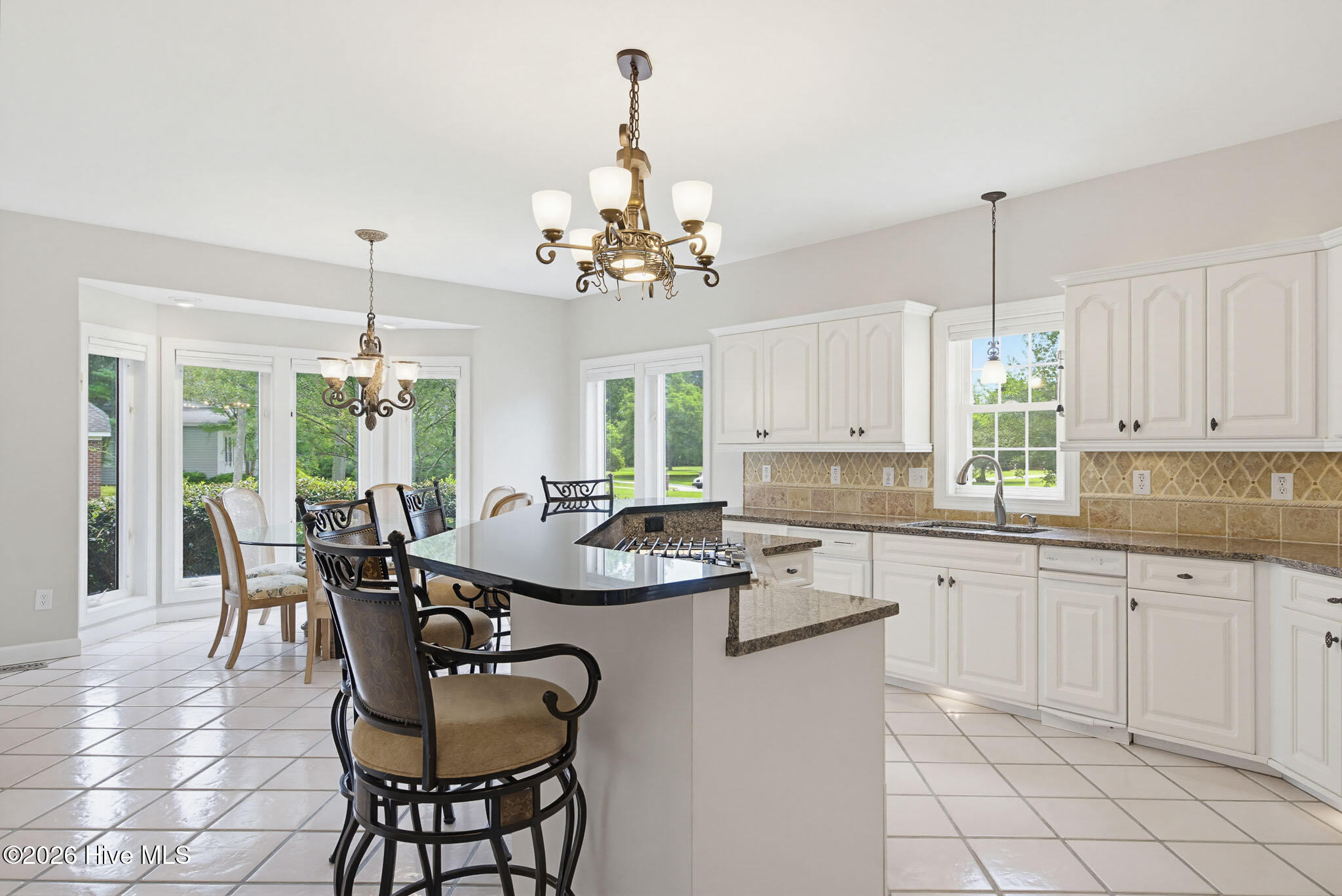 100570266 | Photo 15