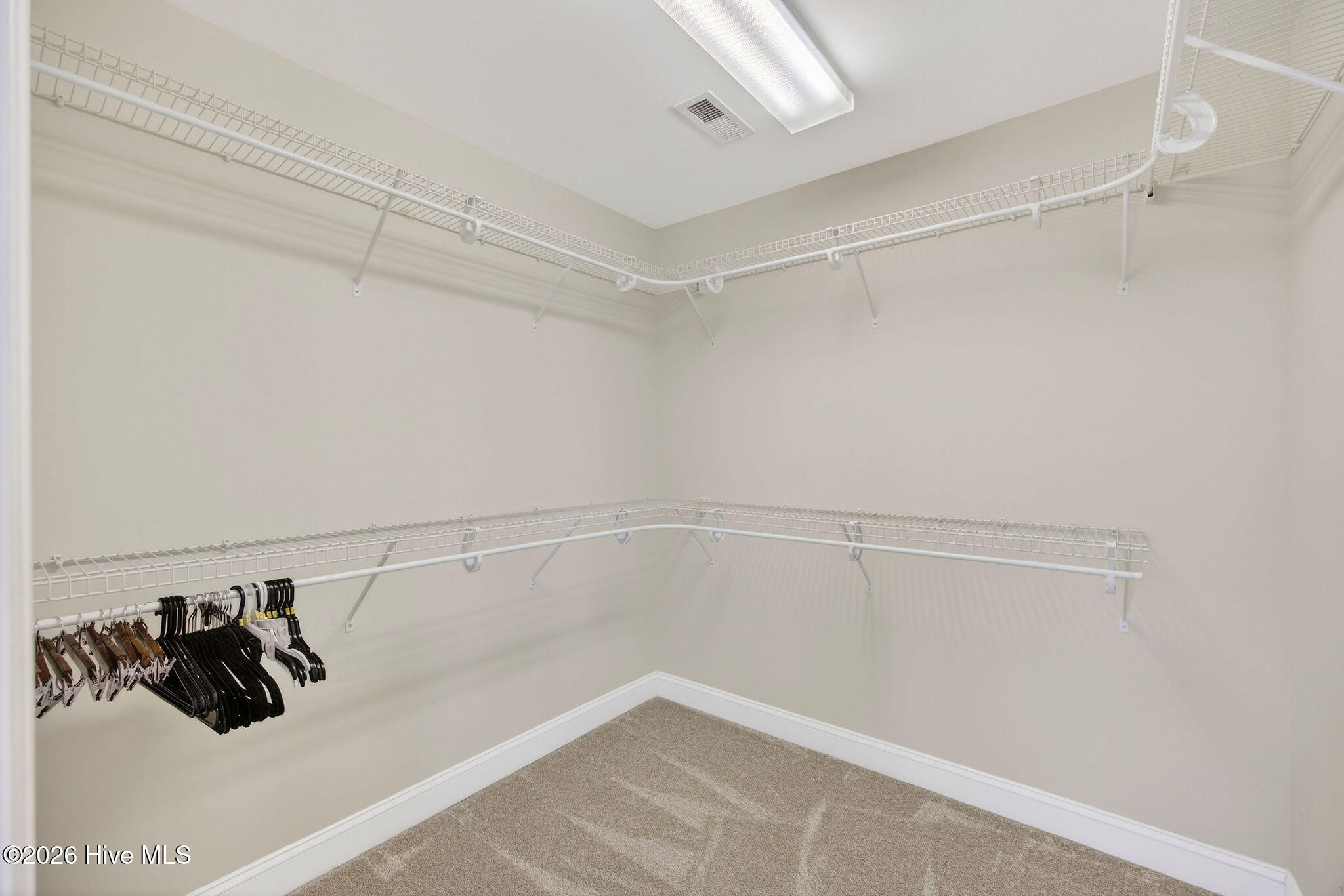 100558611 | Photo 52