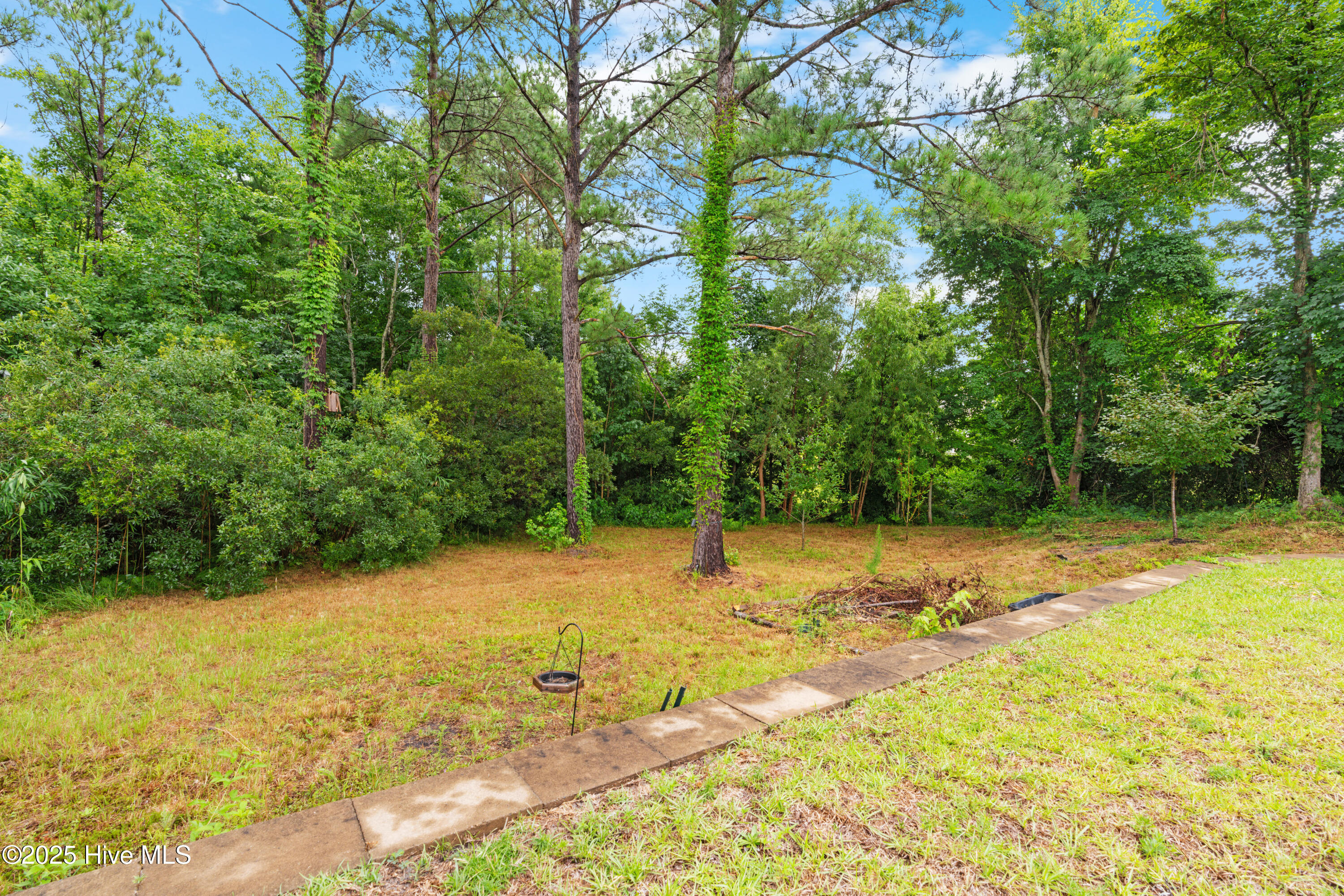 100518721 | Photo 13