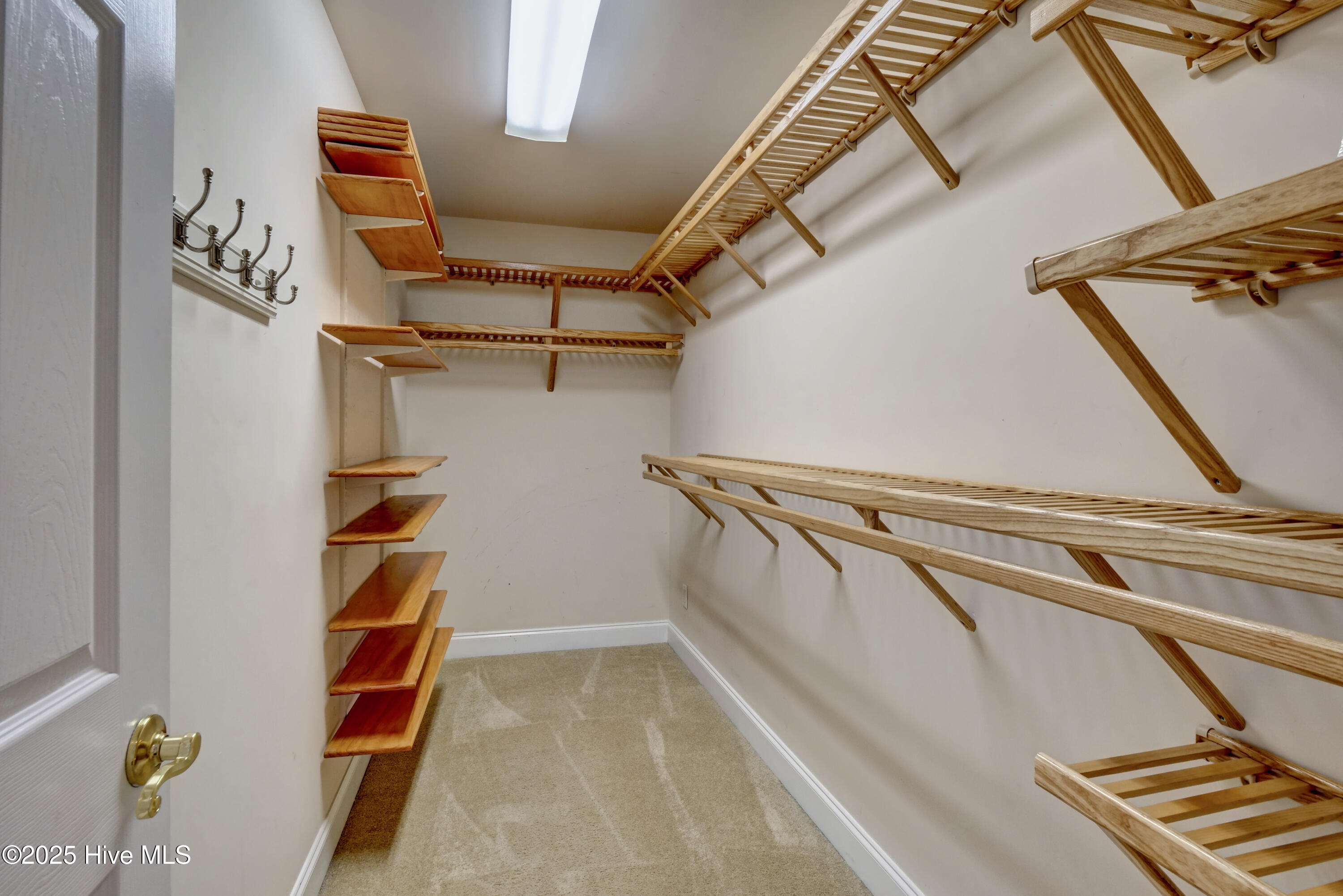 100539909 | Photo 19