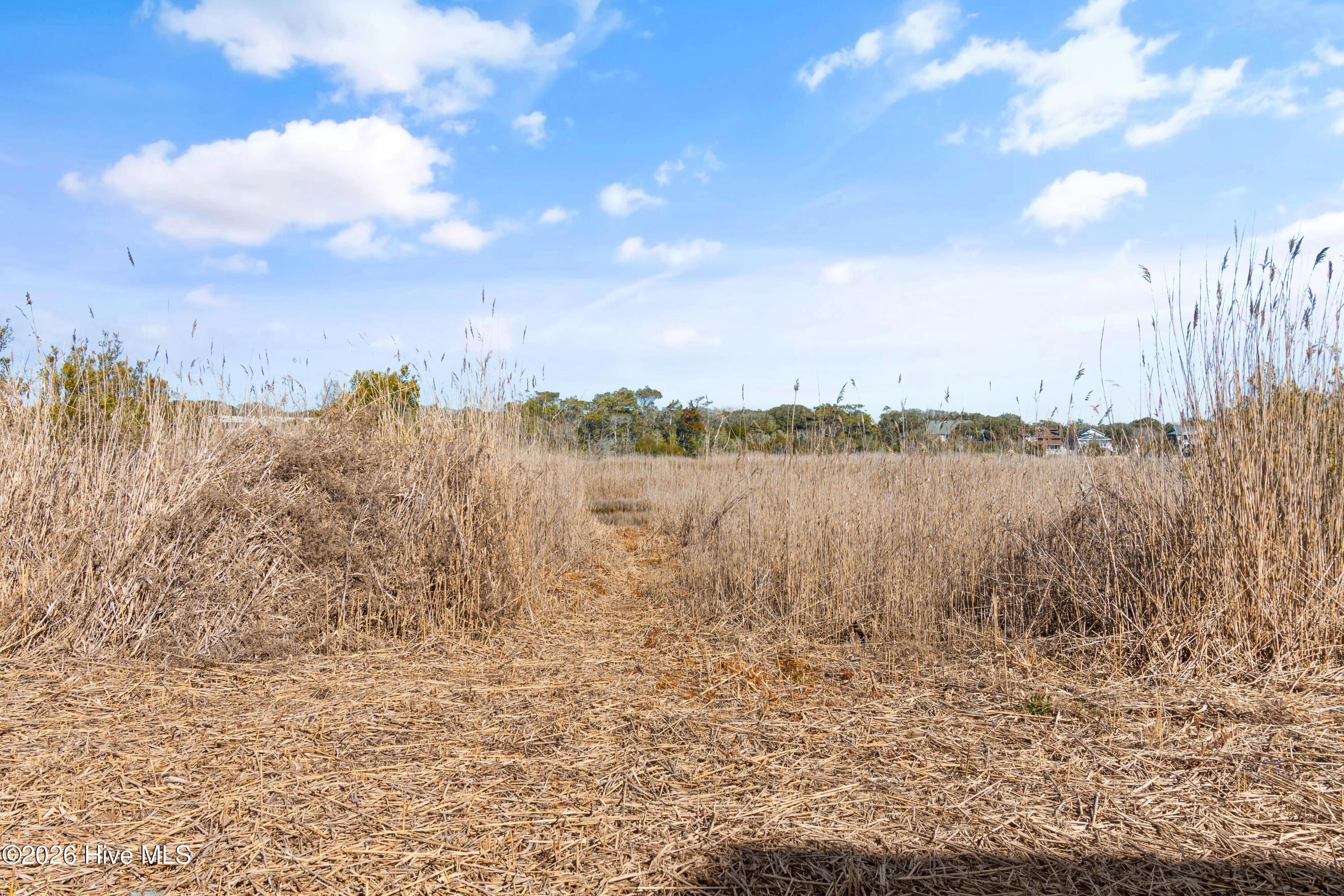 100555646 | Photo 40