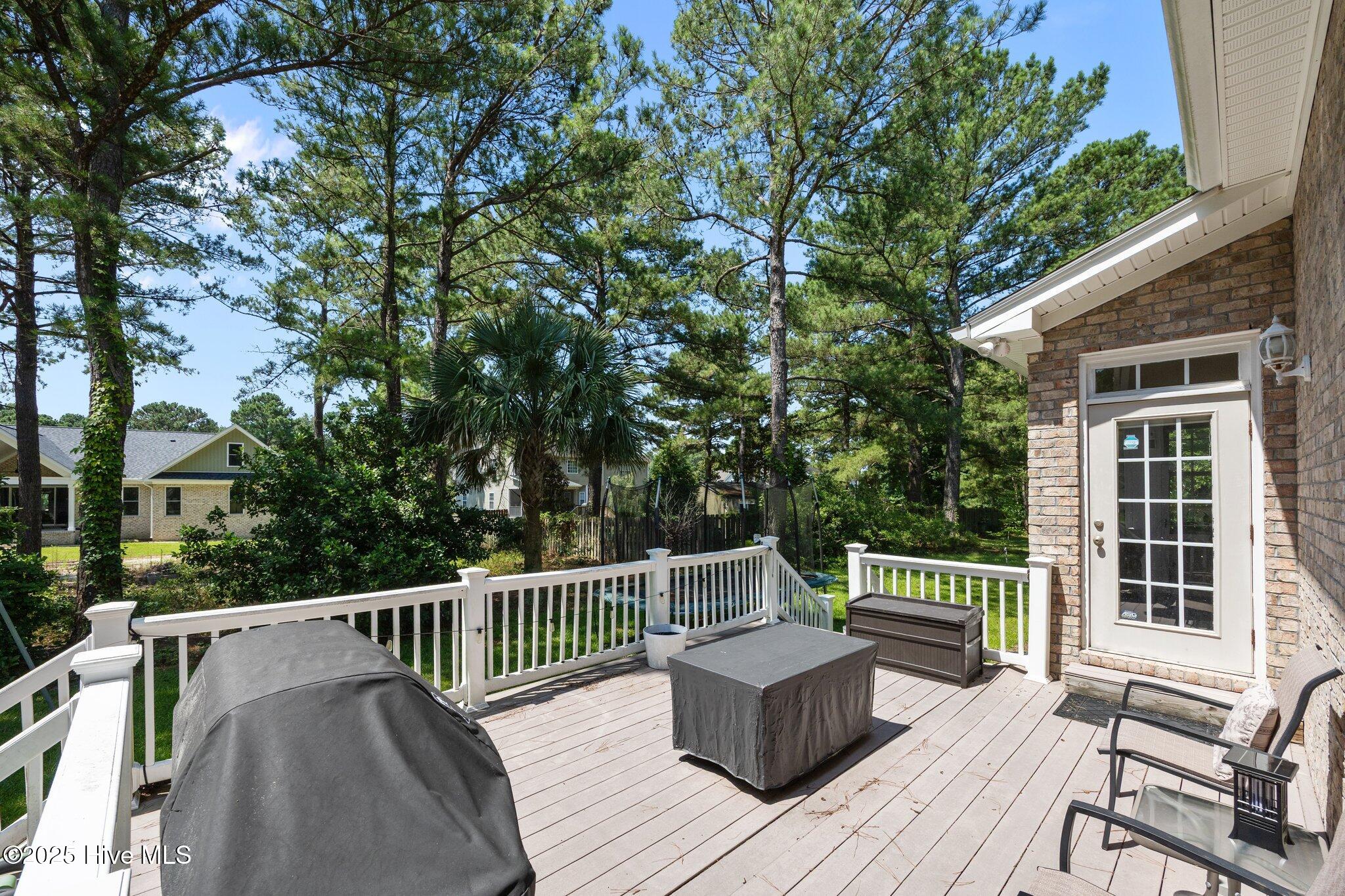 100516018 | Photo 51