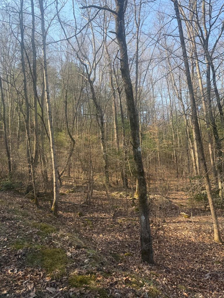 Lot 12 Rainbow Valley, Murphy, North Carolina, 0 ,For sale,Rainbow Valley,98544537 Lot 12 Rainbow Valley, Murphy, North Carolina, 0 ,For sale,Rainbow Valley,98544537