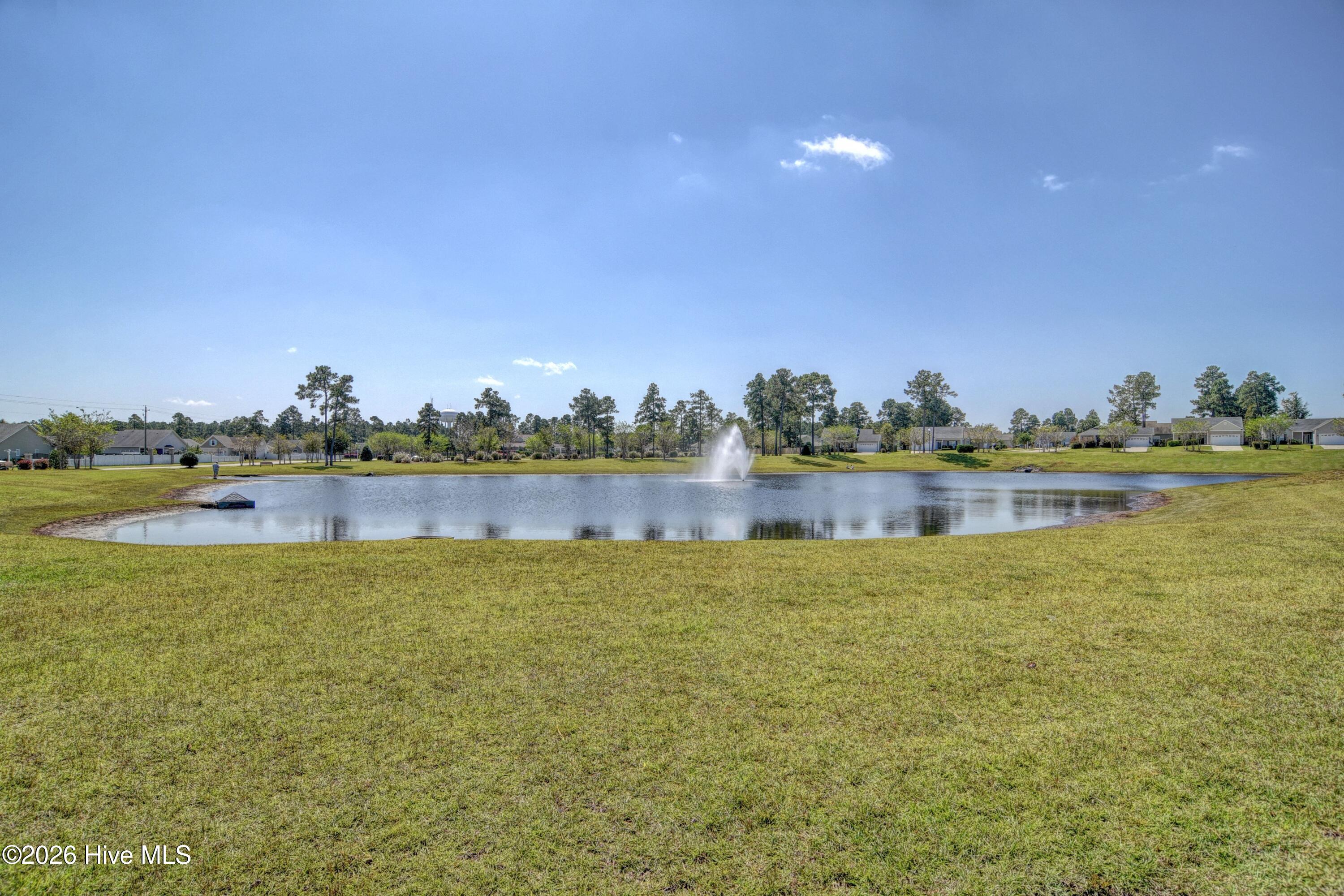 100561513 | Photo 48