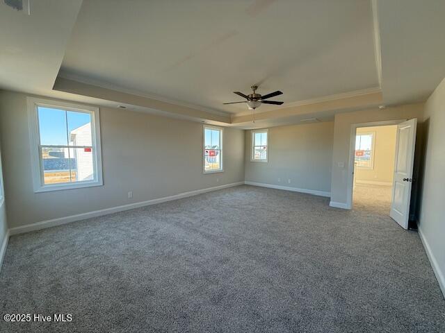 100537825 | Photo 22