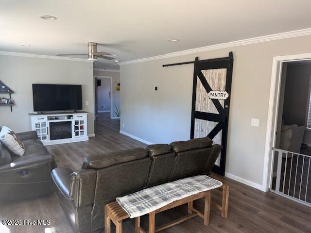 100555243 | Photo 25