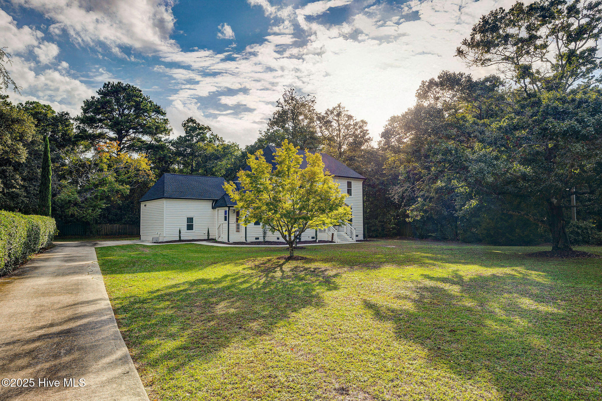 100534059 | Photo 64