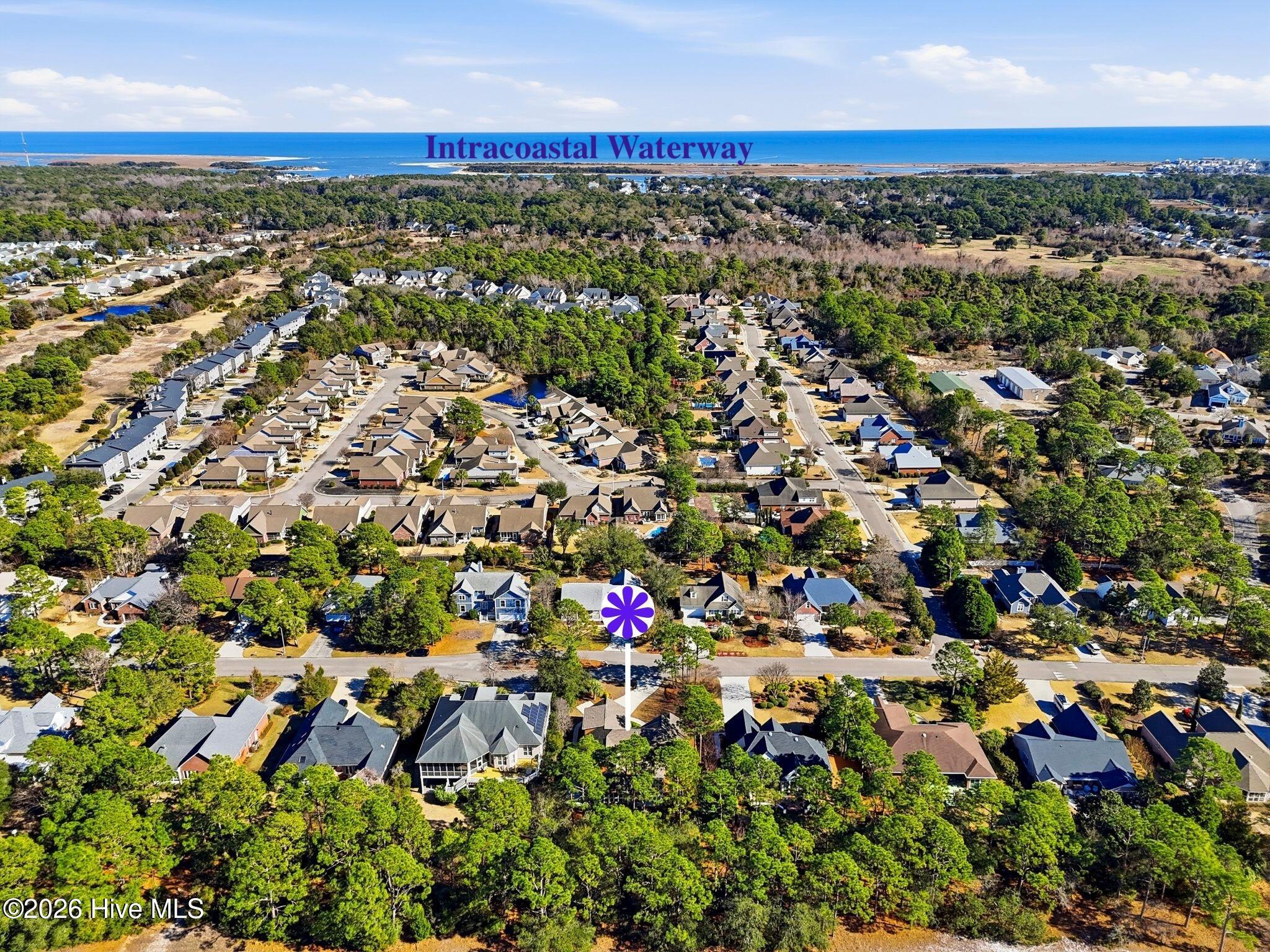 100549882 | Photo 42