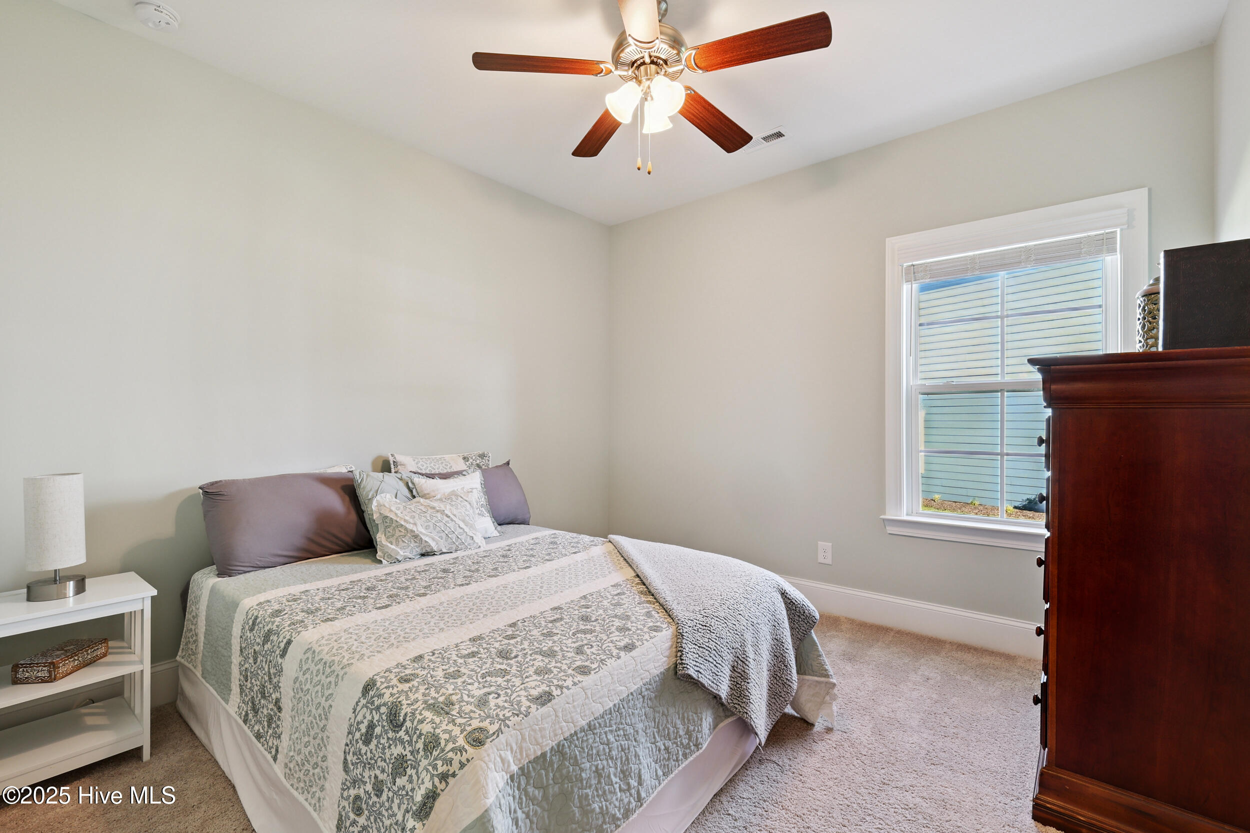 100521599 | Photo 22