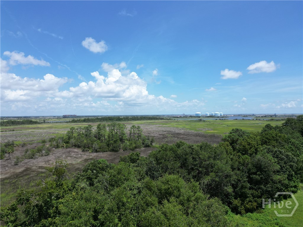 0 Riverview Drive, Savannah, GA, 31410