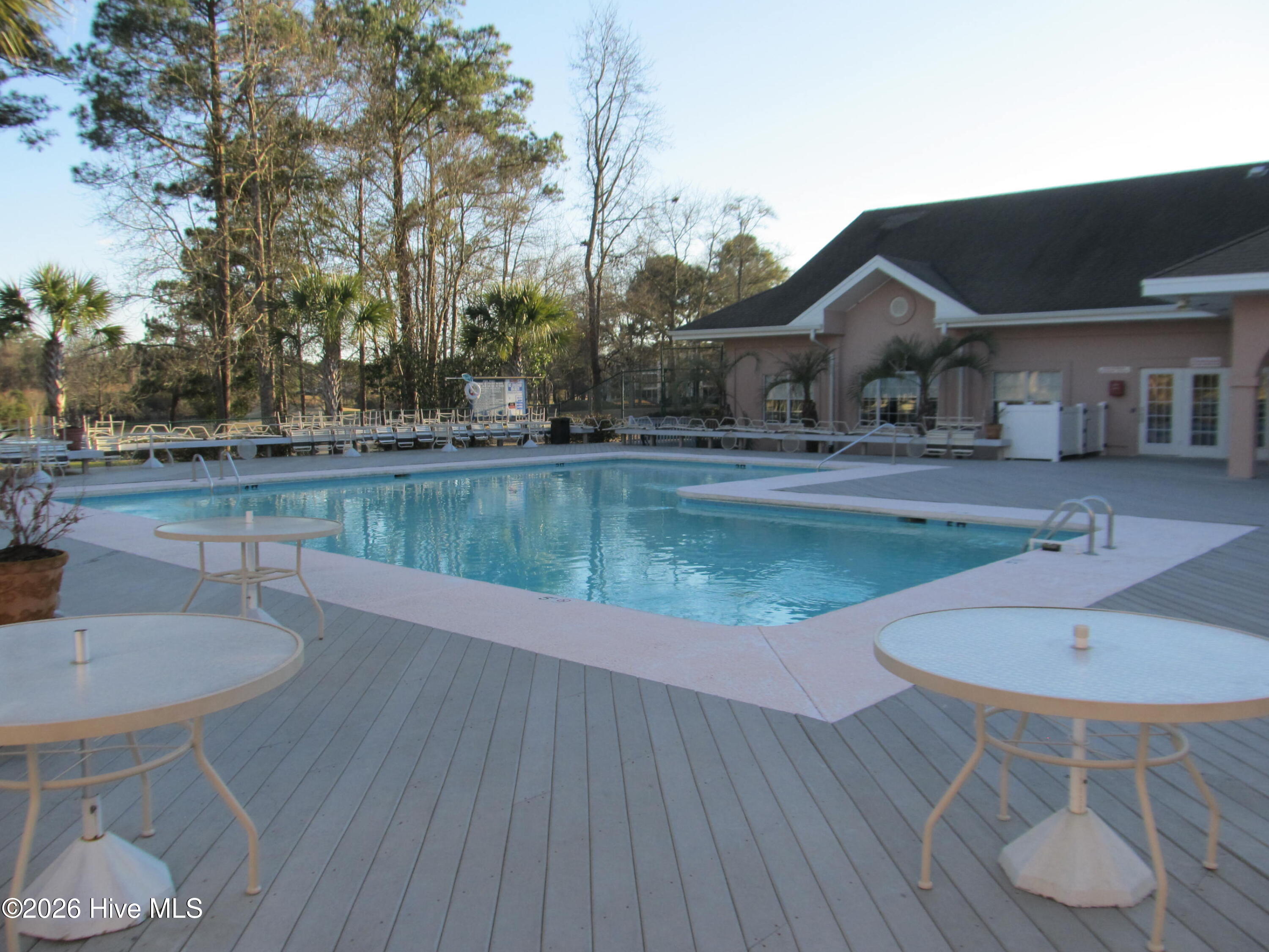 100564386 | Photo 80