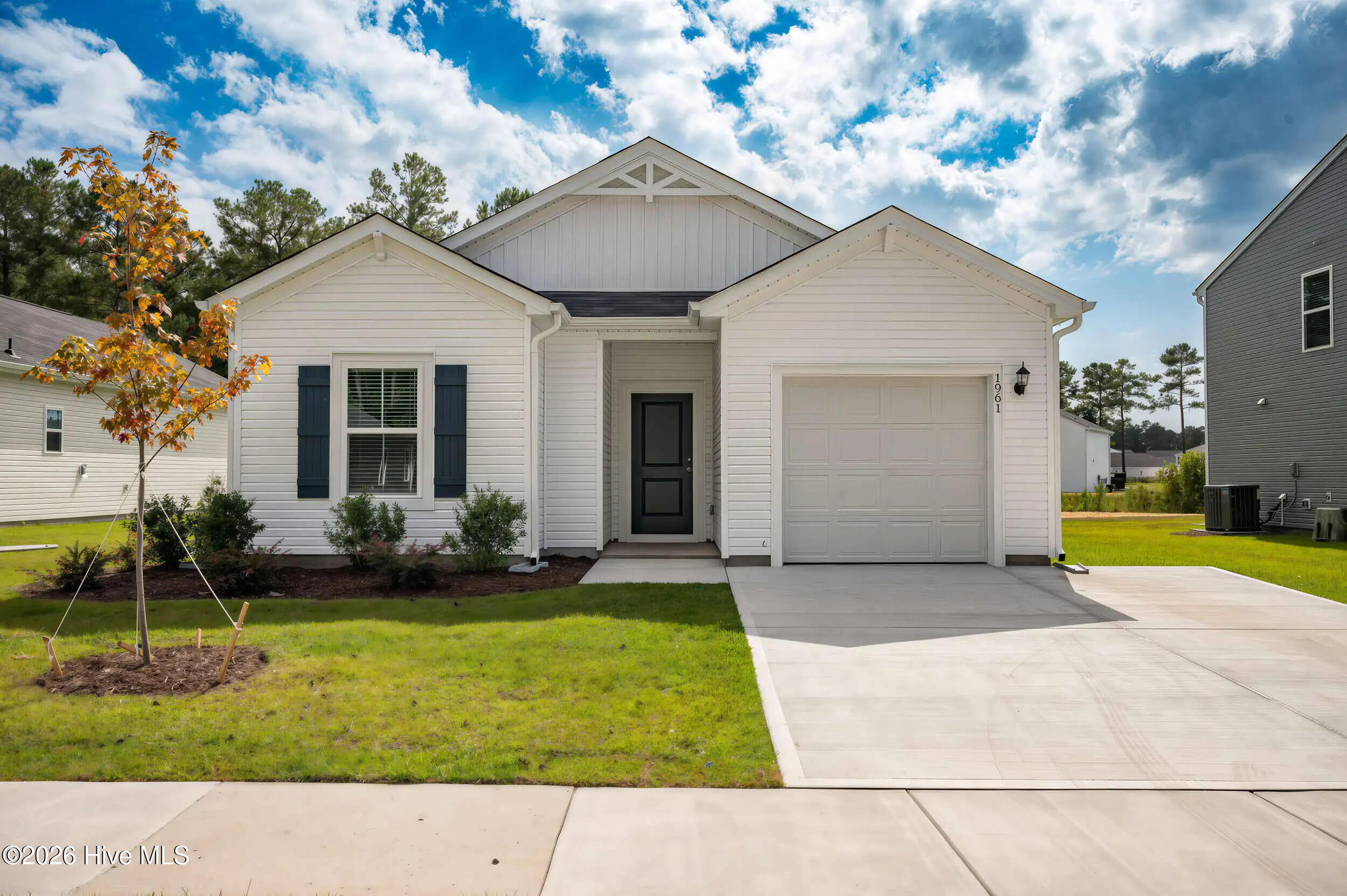 100554878 | Photo 18