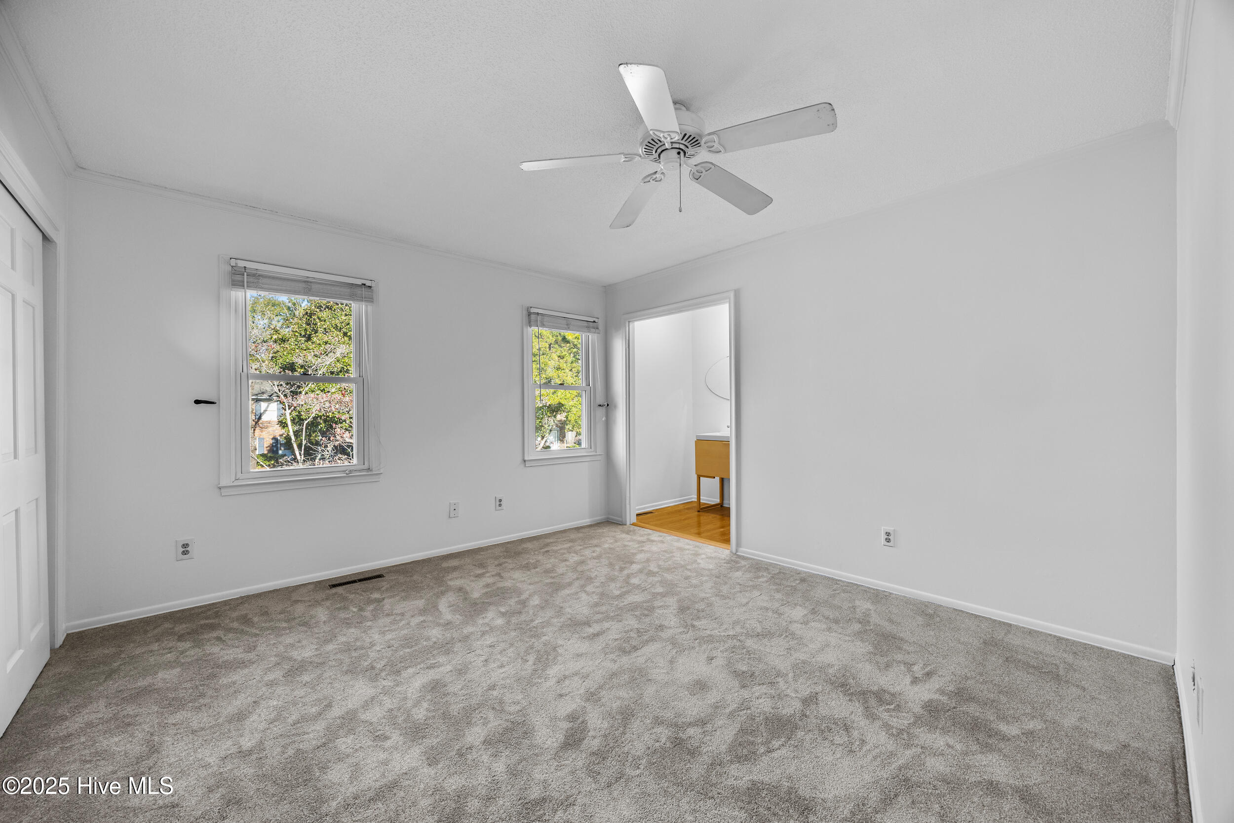 100545120 | Photo 15