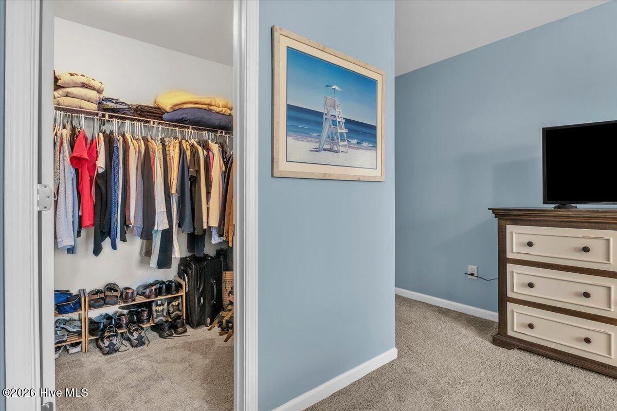 100558100 | Photo 47