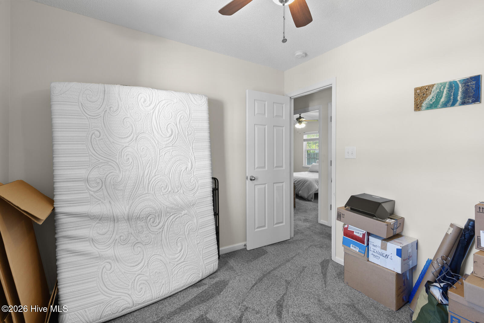 100568558 | Photo 25