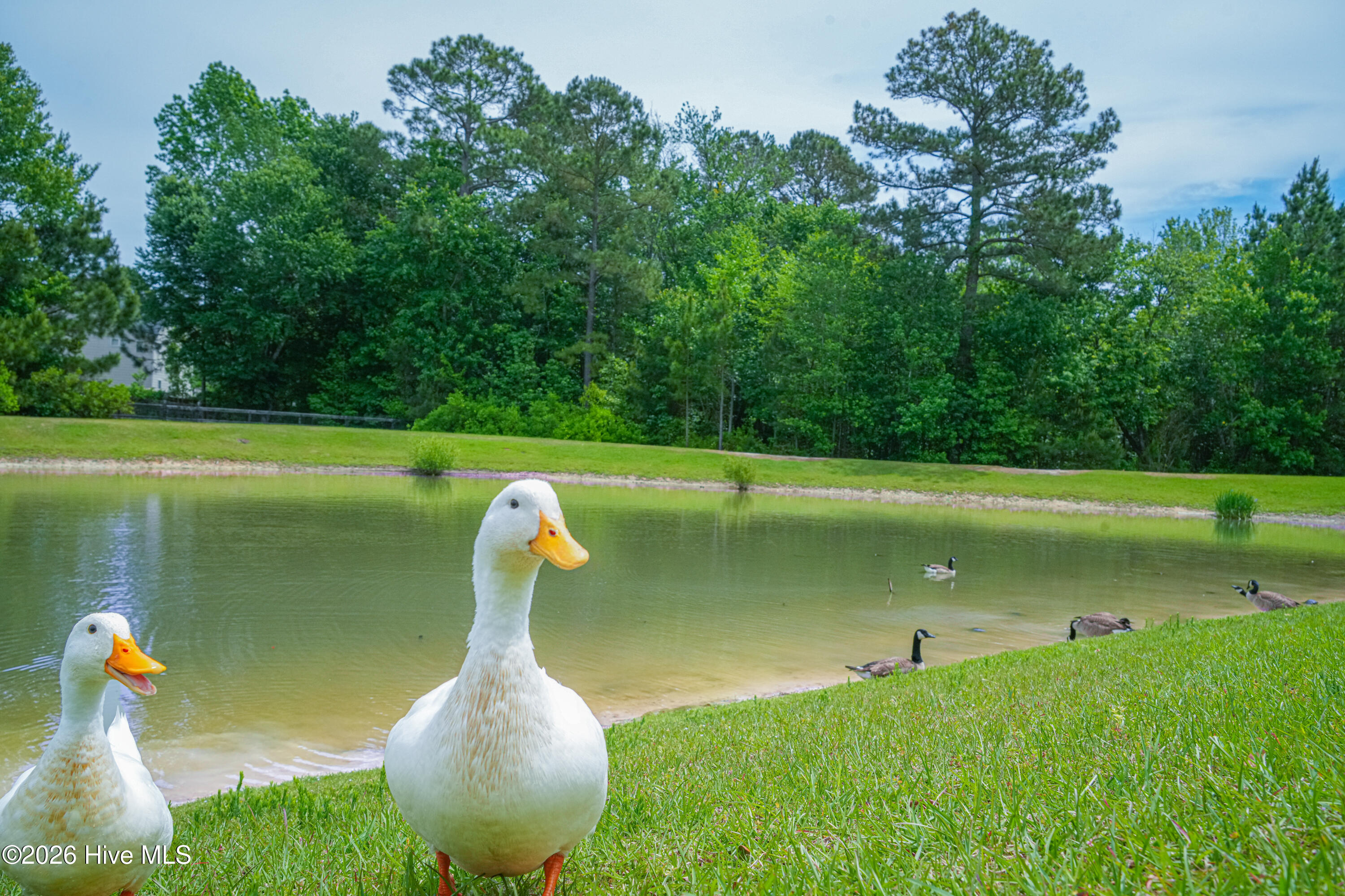 100570478 | Photo 53