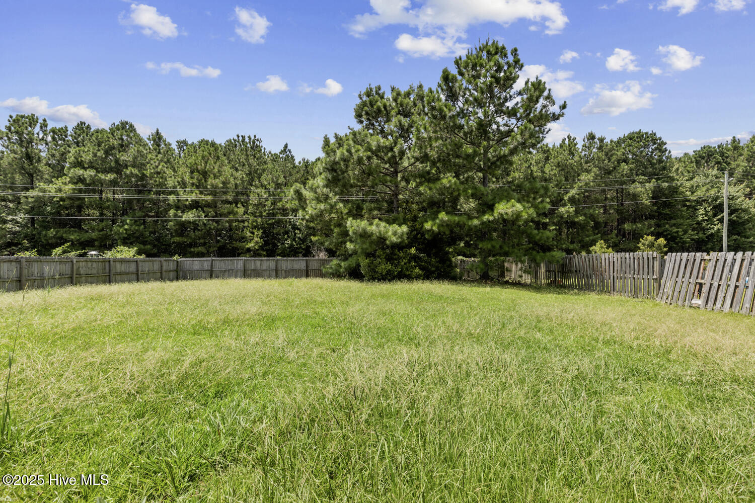 100532522 | Photo 35