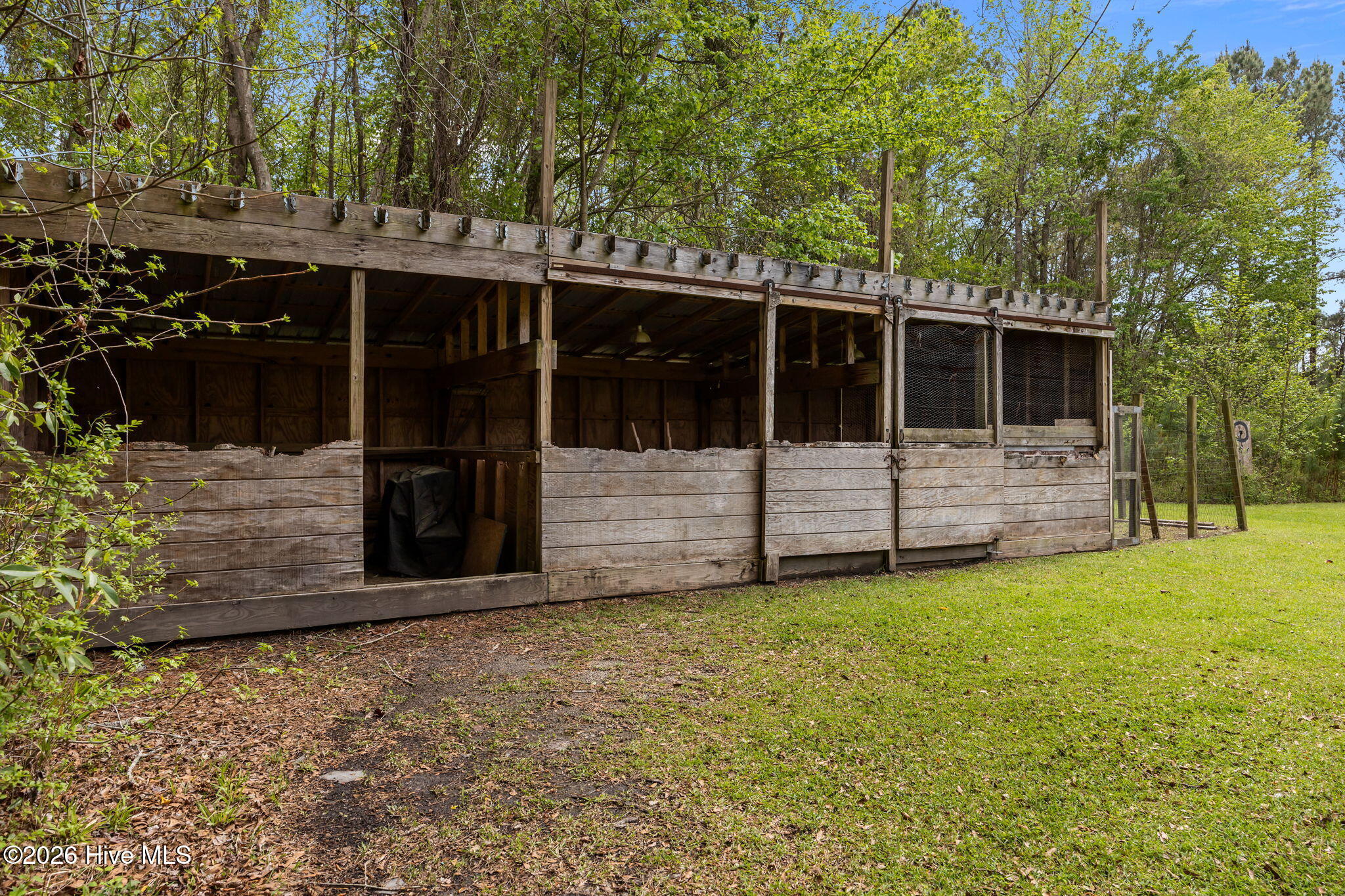 1161 Gibson Branch Road, Maysville, NC 28555 – photo 5: 1161 Gibson Branch Road, Maysville, NC