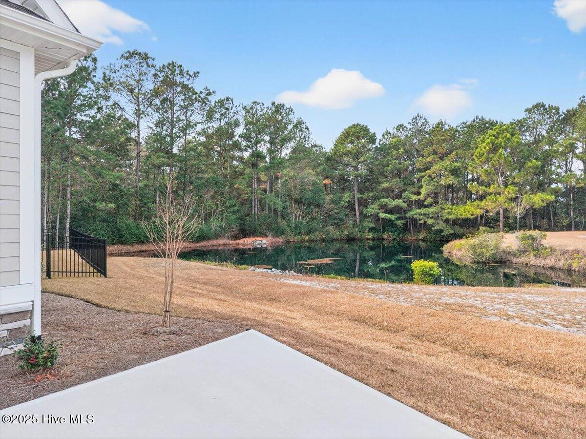 100546300 | Photo 49