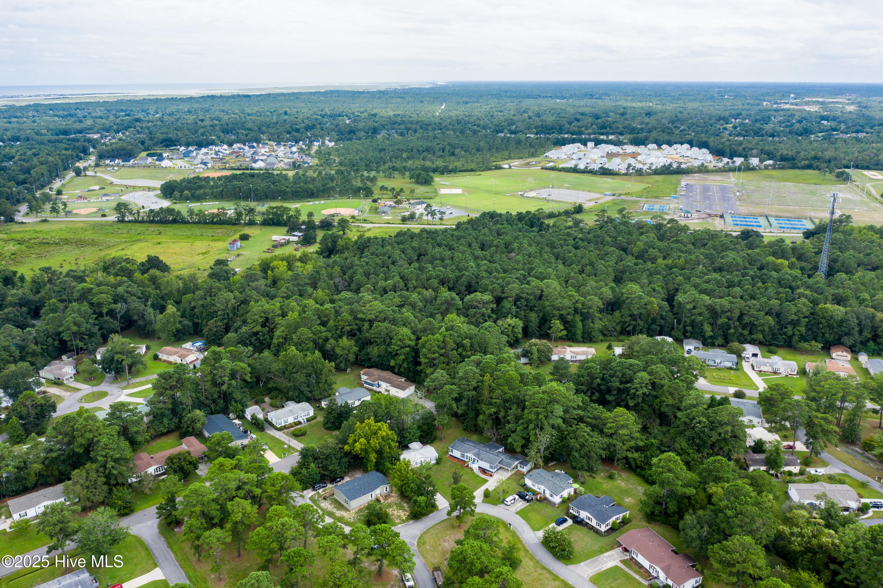 100523647 | Photo 27