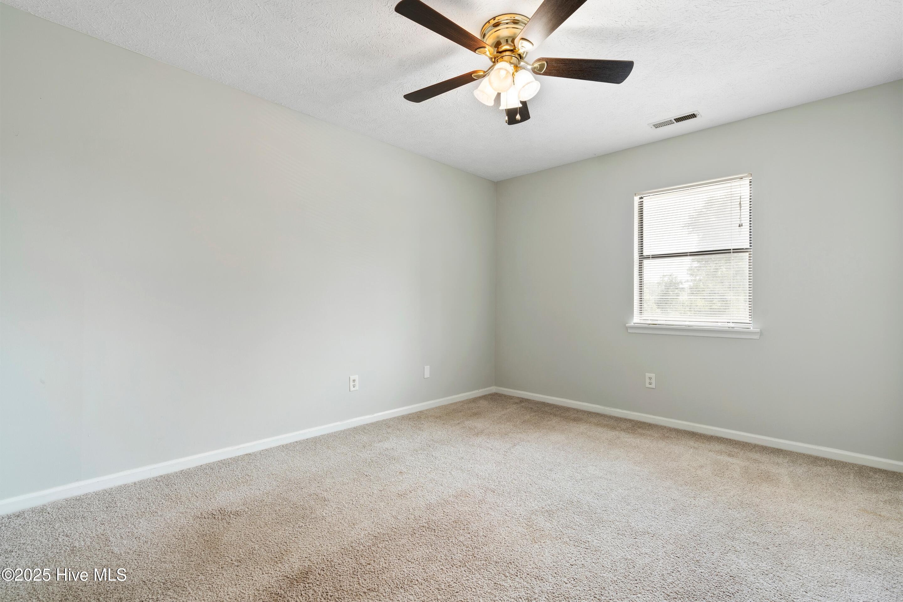 100517492 | Photo 19