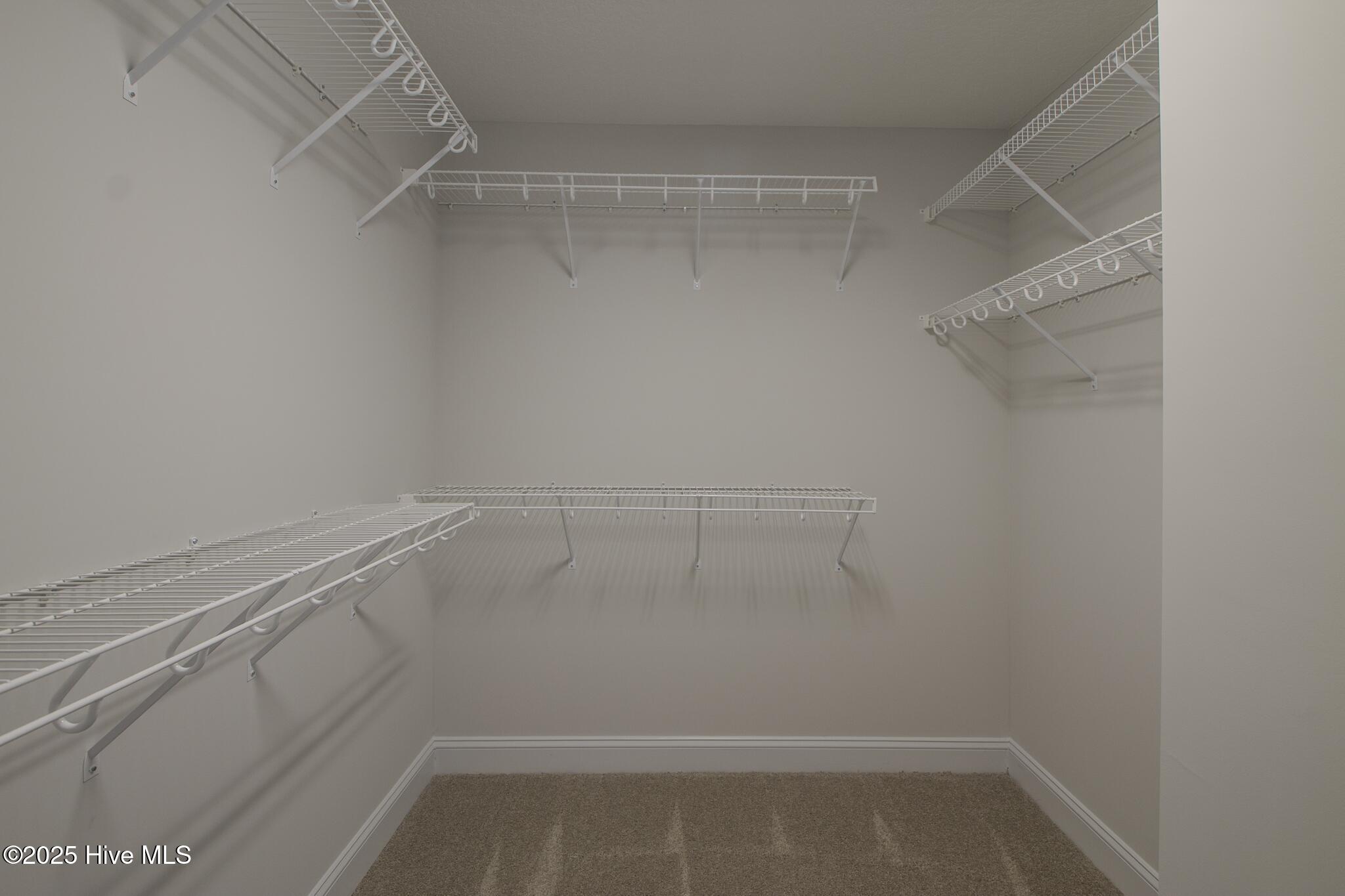 100512966 | Photo 18