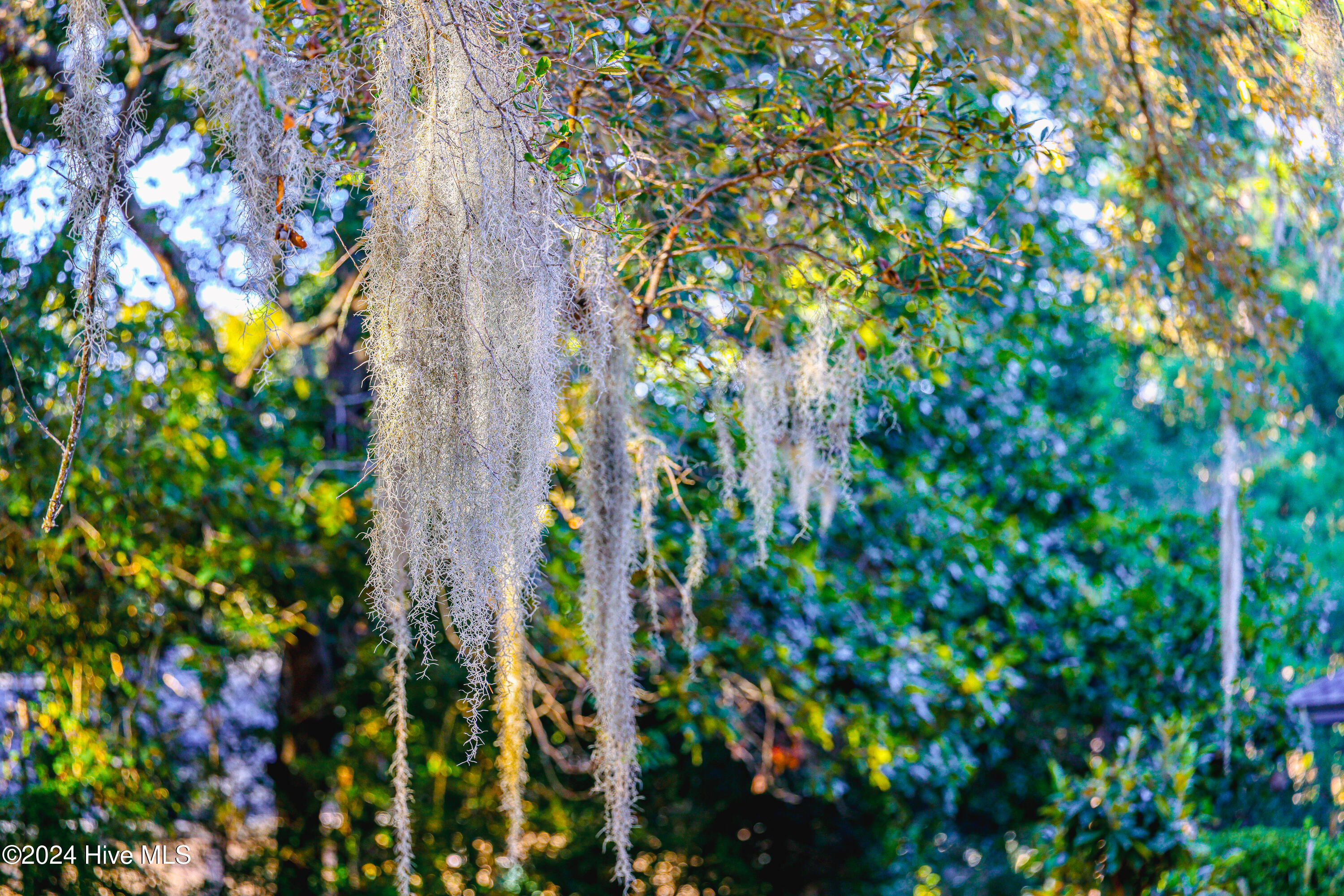 100547231 | Photo 10