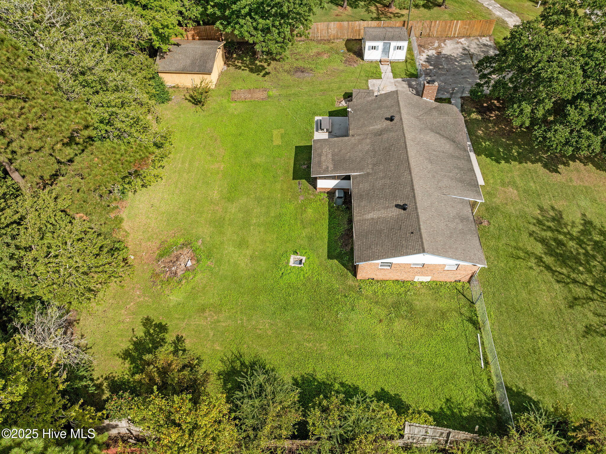 100534081 | Photo 53