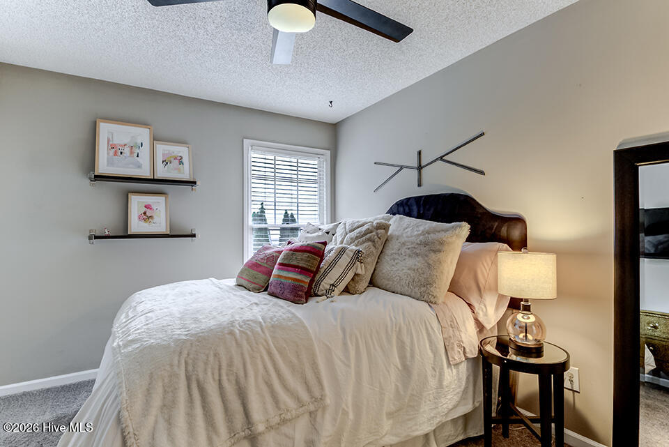 100567381 | Photo 20