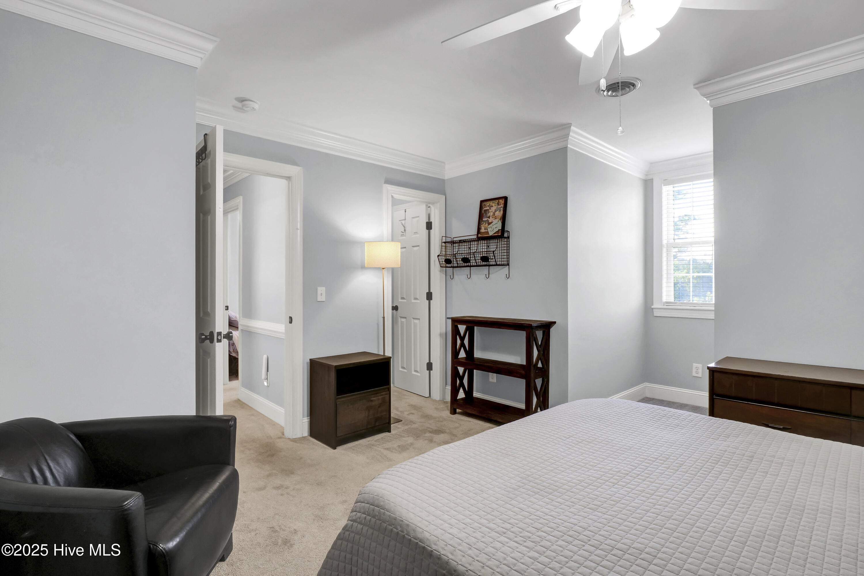 100539598 | Photo 28