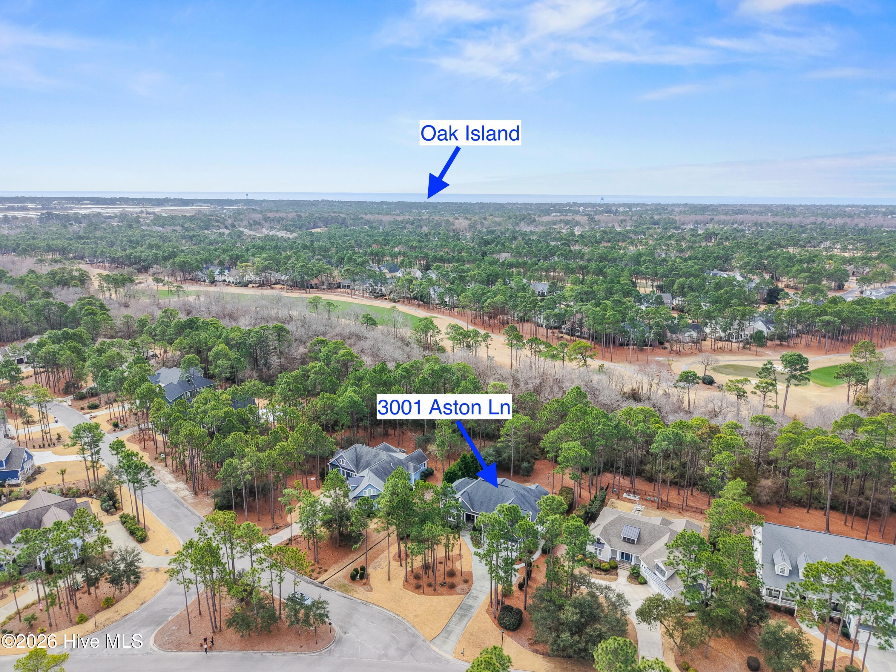 100555606 | Photo 64