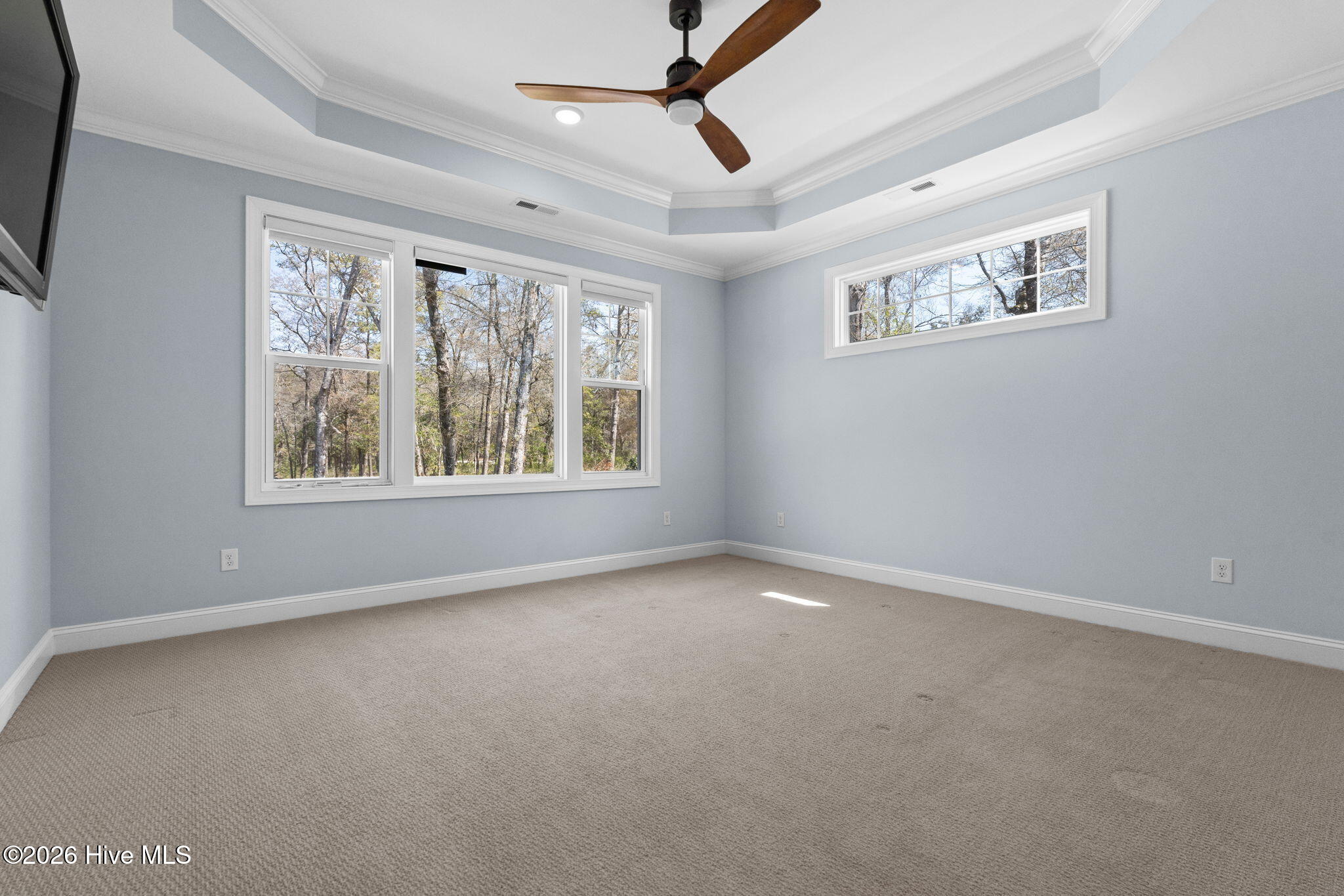 100563423 | Photo 23