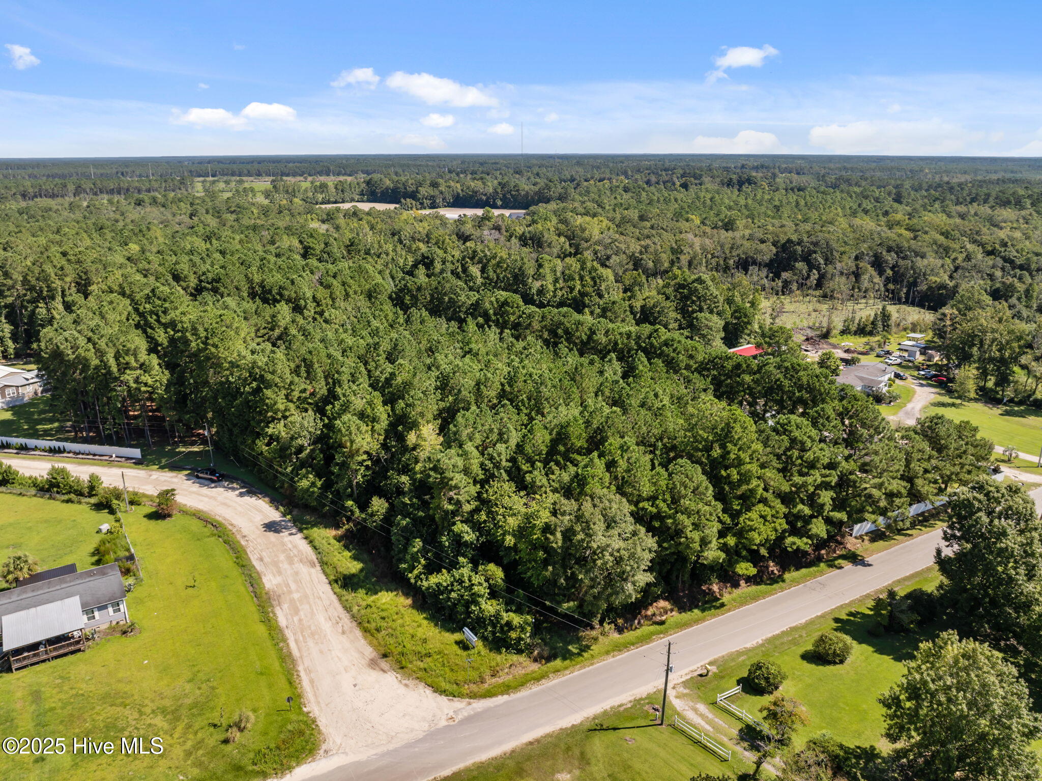 100527806 | Photo 14