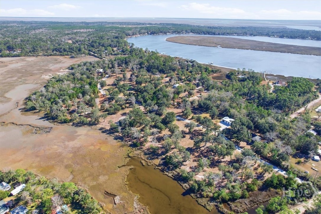 Homes for sale in Midway, GA | Lot 3 Bermuda Bluff Ln, Midway, GA 31320 | MLS# SA348556