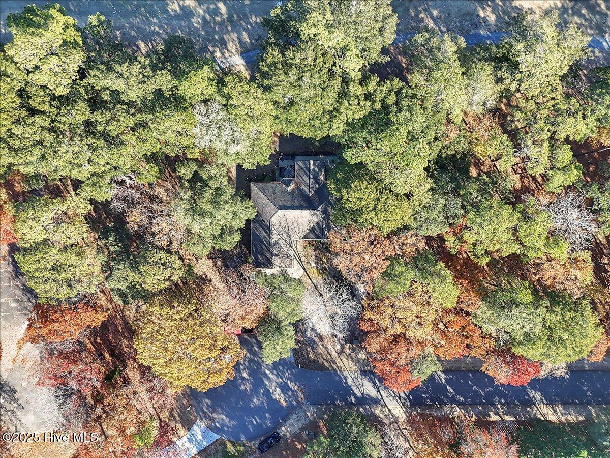 100544384 | Photo 61