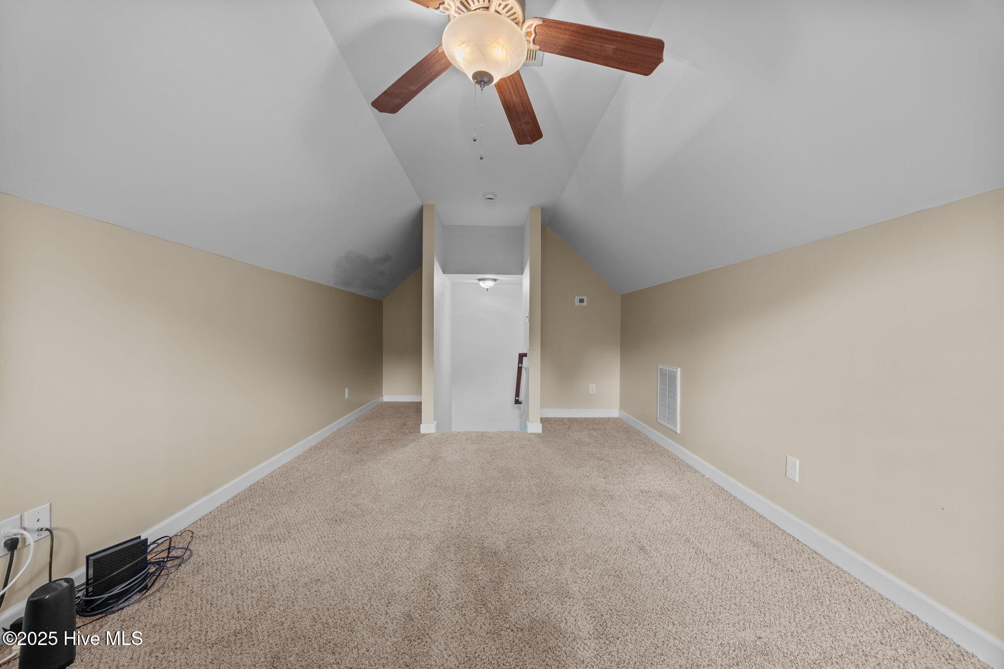 100535331 | Photo 19