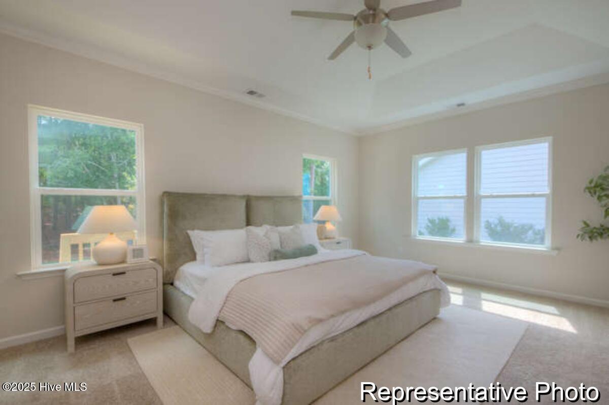 100529064 | Photo 21