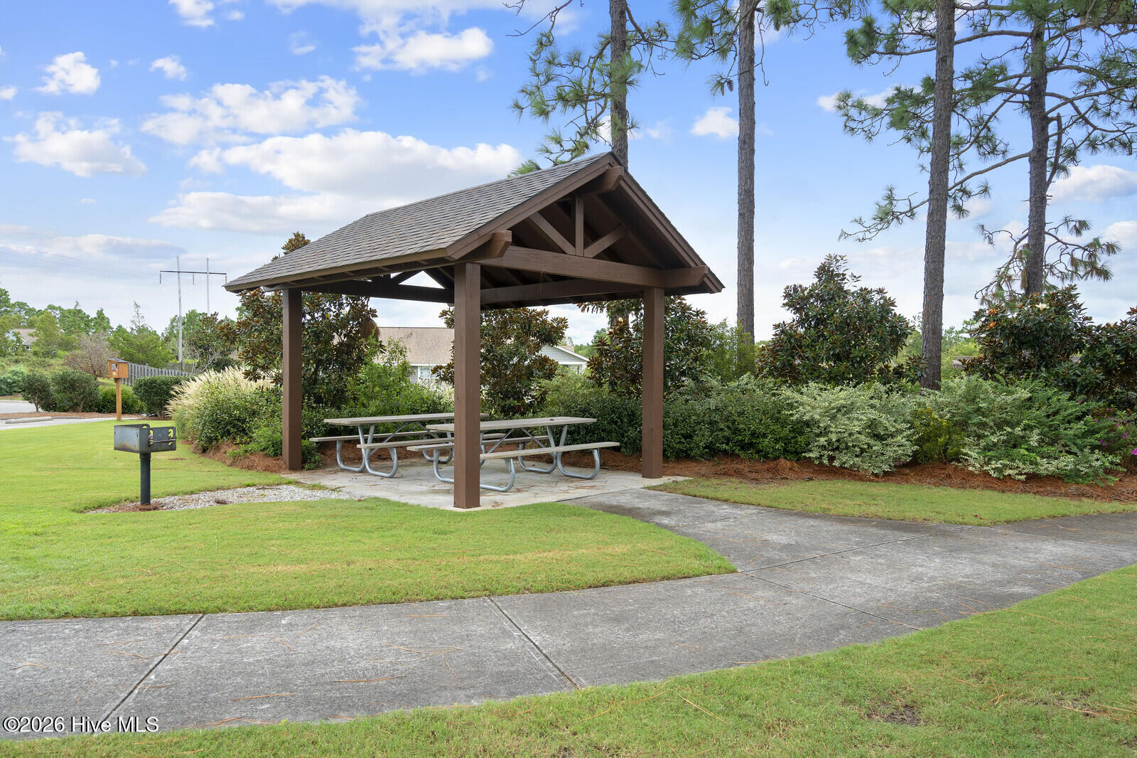 100558633 | Photo 50