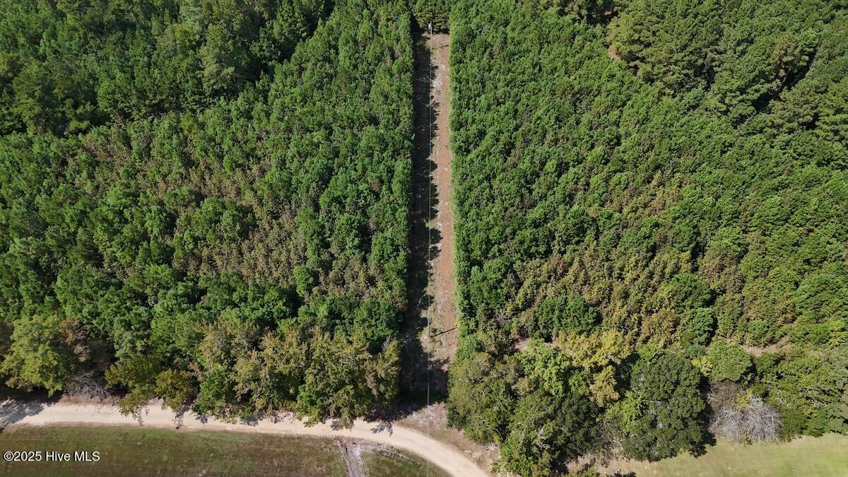 100531803 | Photo 14