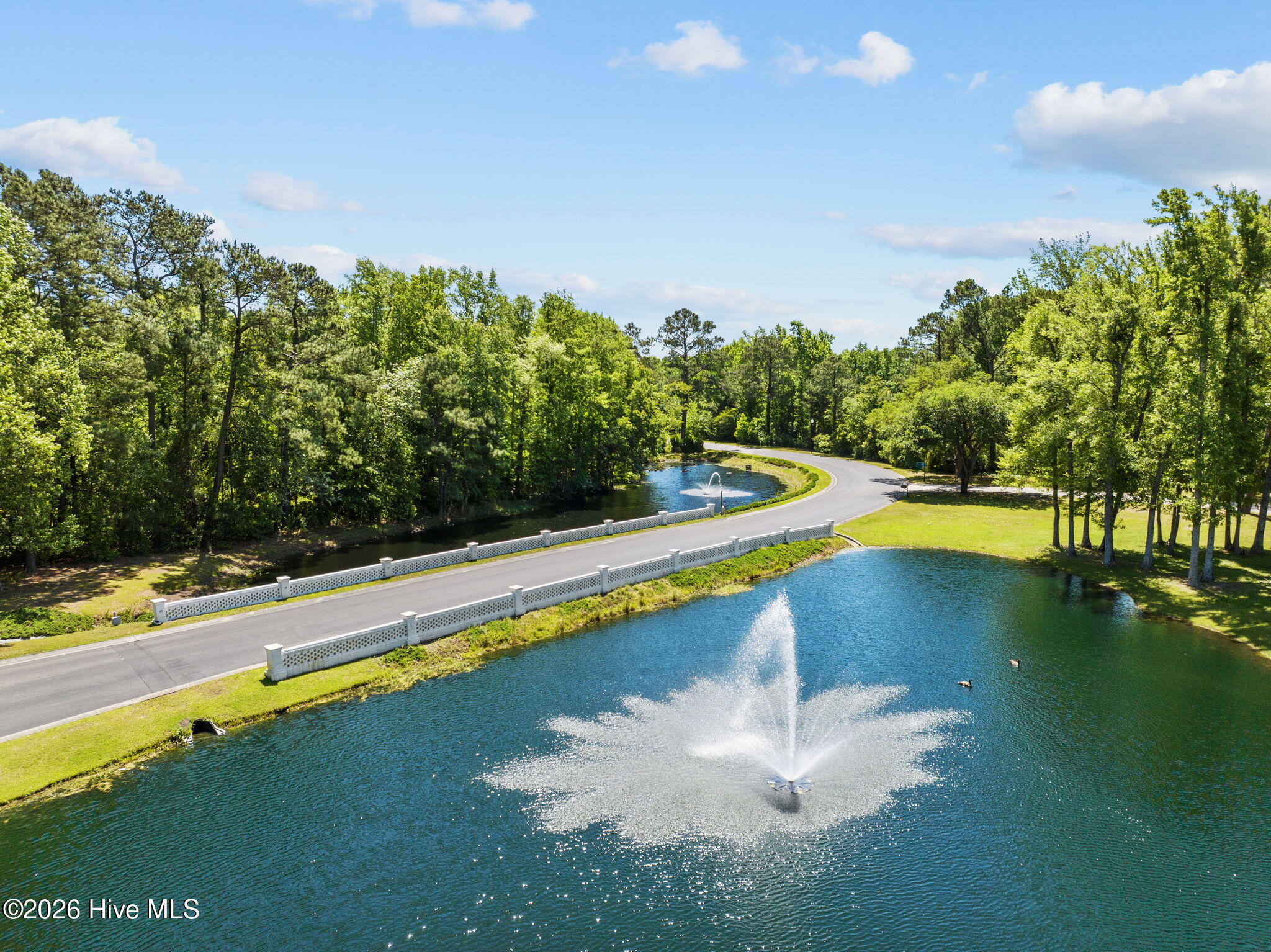 100566934 | Photo 71