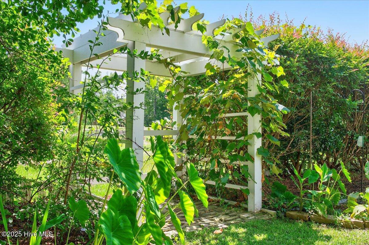 100523832 | Photo 96