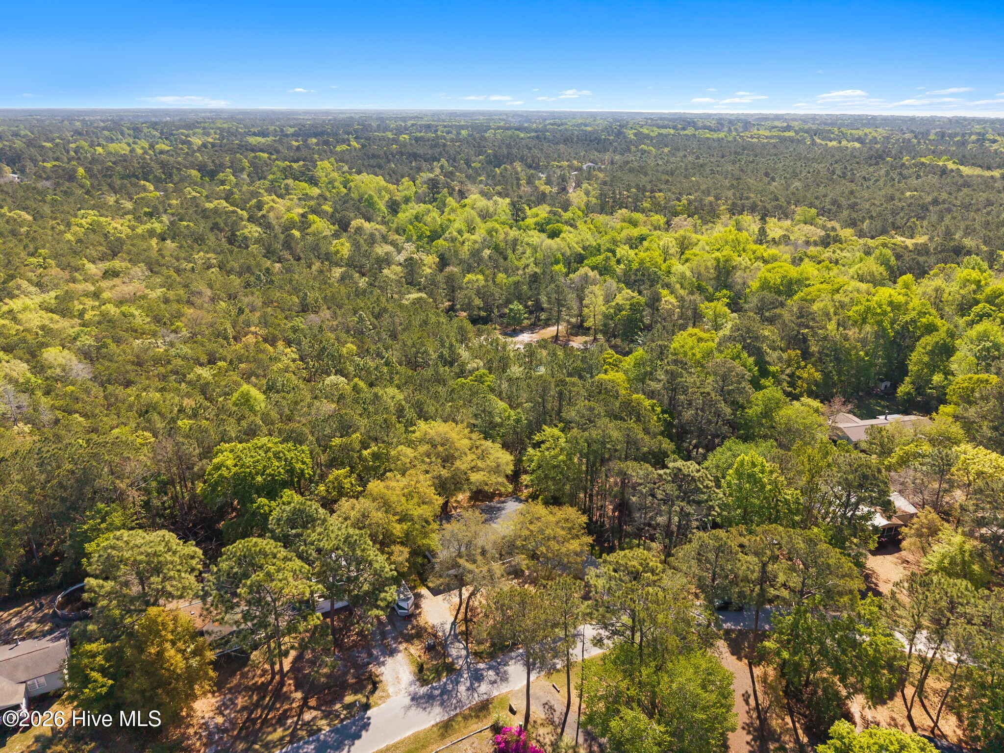 100569950 | Photo 39