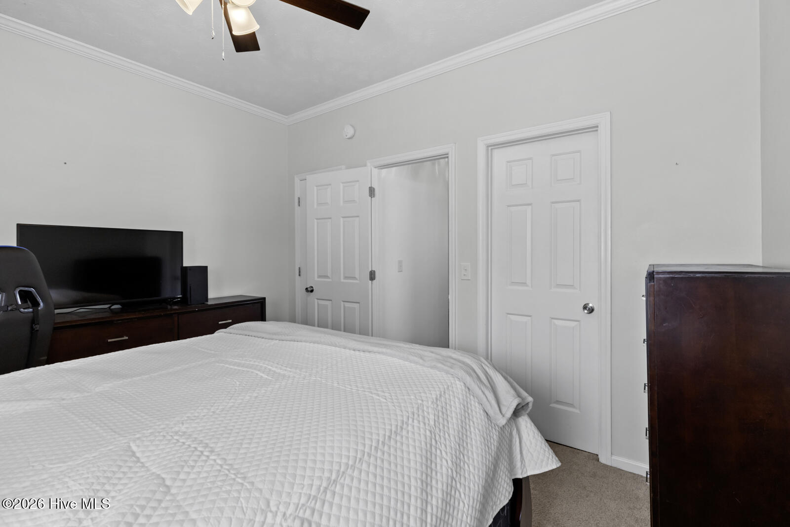 100562743 | Photo 18