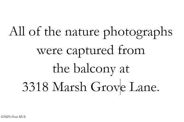 100503609 | Photo 12